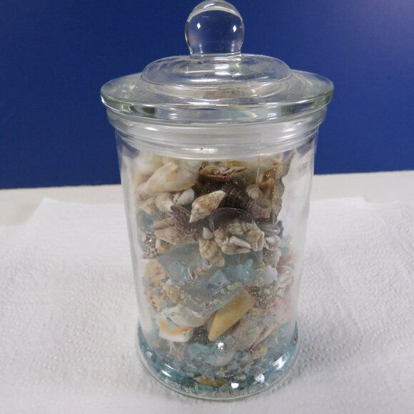 REAL sea shells in a New Glass Jar w seal & lid 5.75" tall (1+ pounds) - Picture 7 of 14